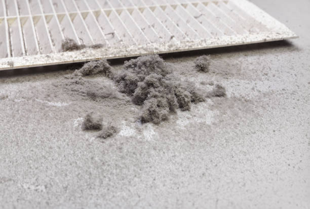 Best Local Air Duct Cleaning Services  in Geistown, PA